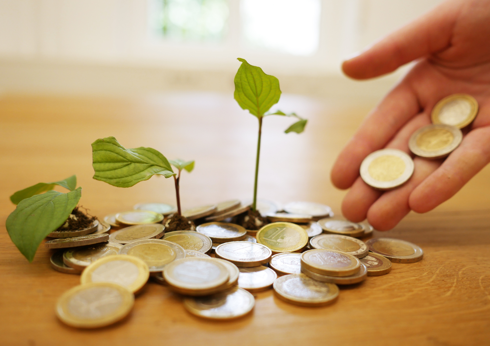 配当金で生活するには？必要資産額をリアルに計算してみた